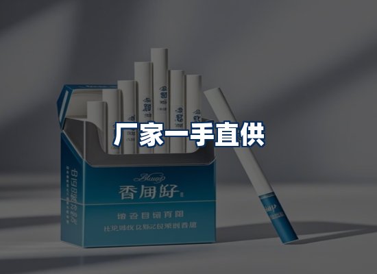 专业团队办公环境